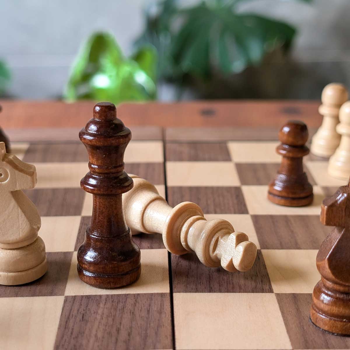 Juego de ajedrez y damas chinas imantado en madera tamaño pequeño, ideal para viajar y estimular la concentración. Imagen detalle de las fichas rey y reina