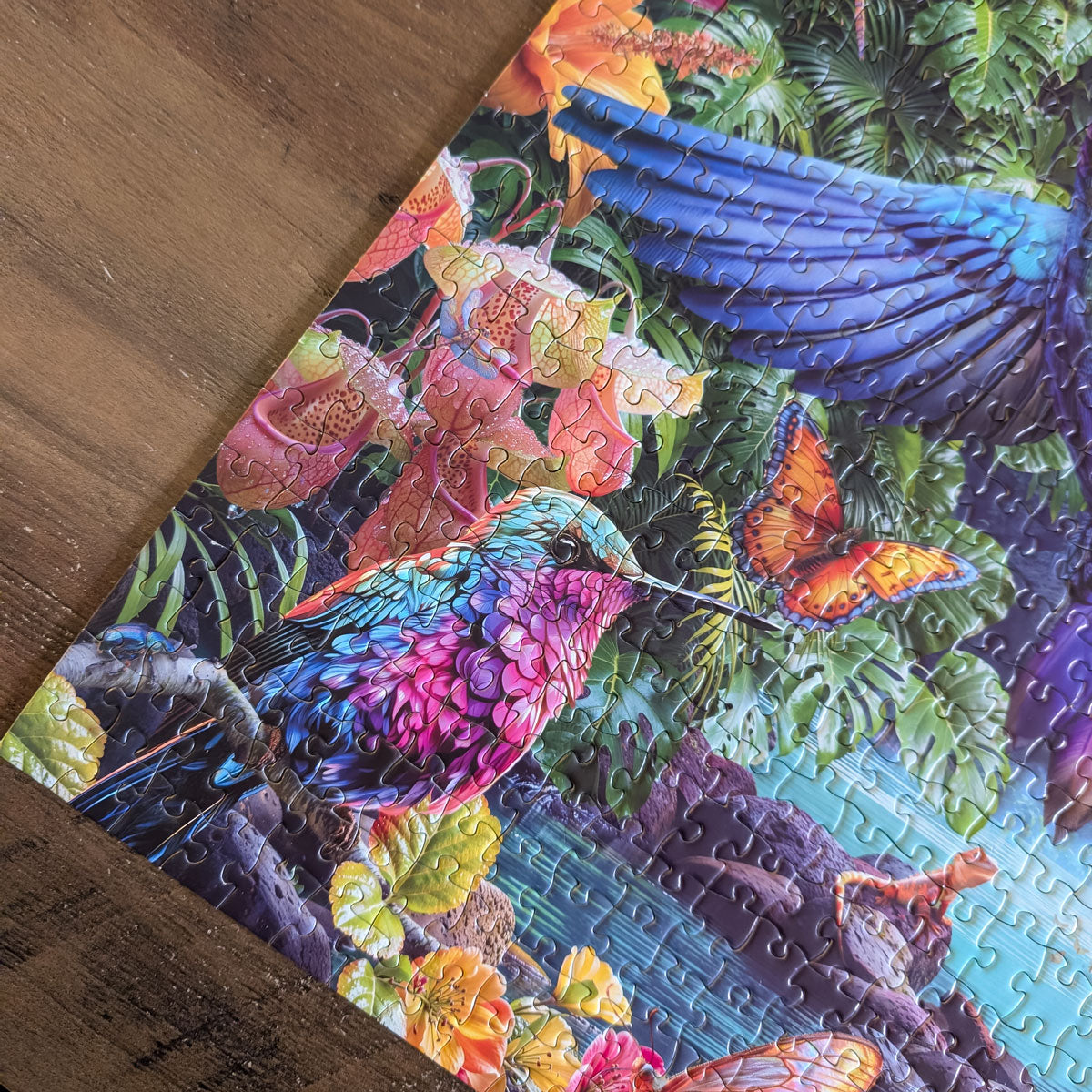 Rompecabezas Colibríes Tropicales (1000 piezas)