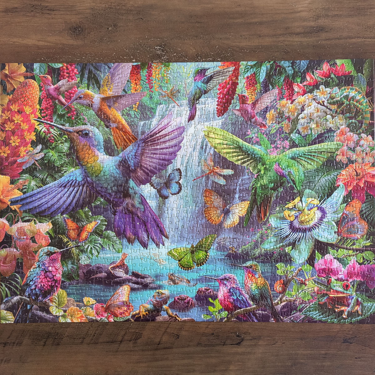 Rompecabezas Colibríes Tropicales (1000 piezas)