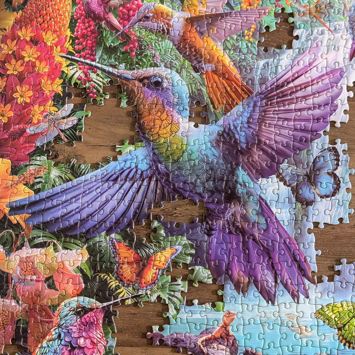 Rompecabezas Colibríes Tropicales (1000 piezas)