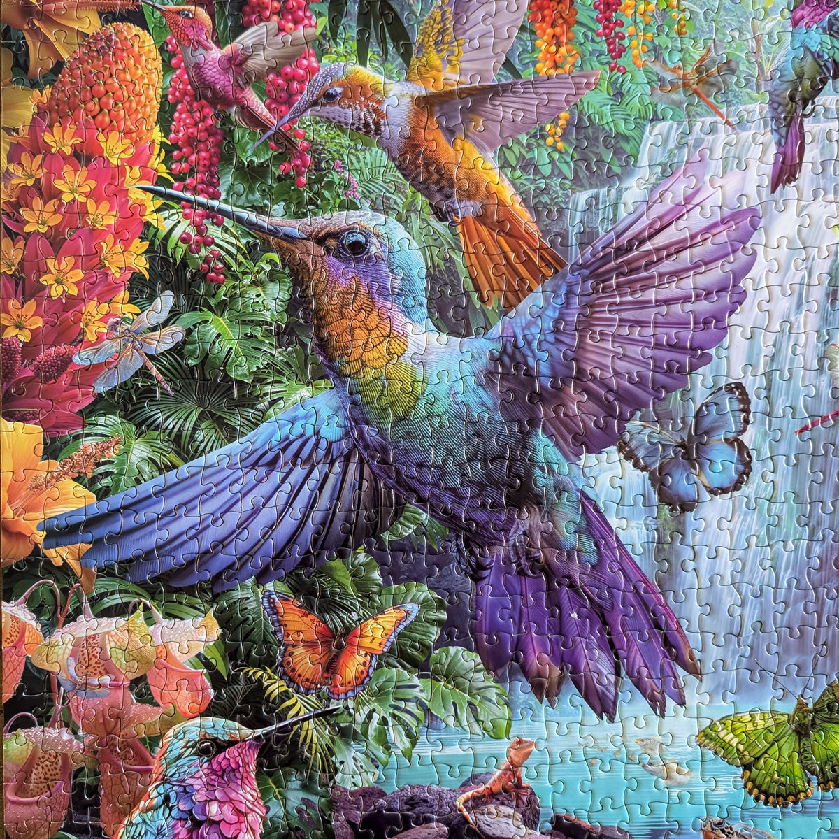 Rompecabezas Colibríes Tropicales (1000 piezas)