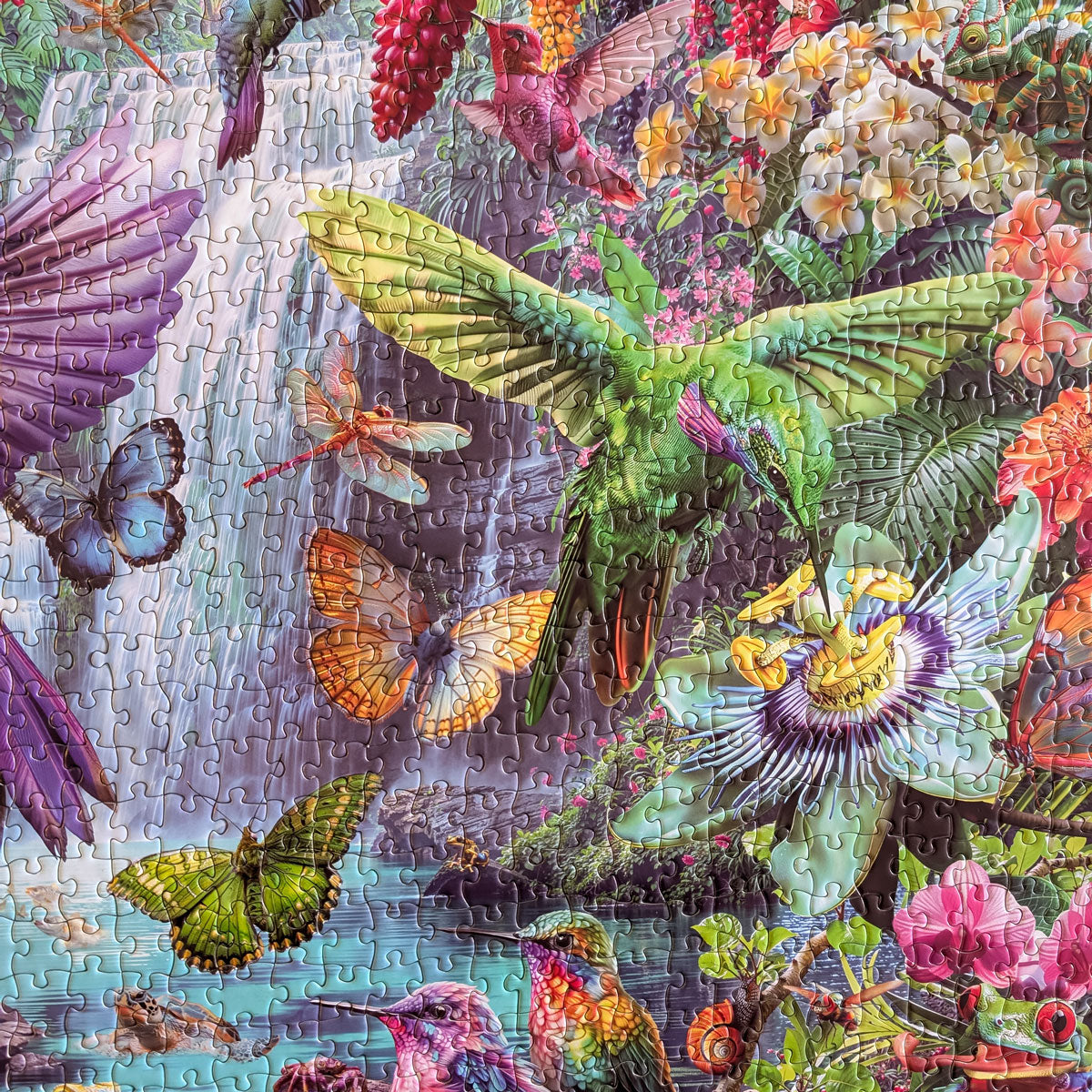 Rompecabezas Colibríes Tropicales (1000 piezas)