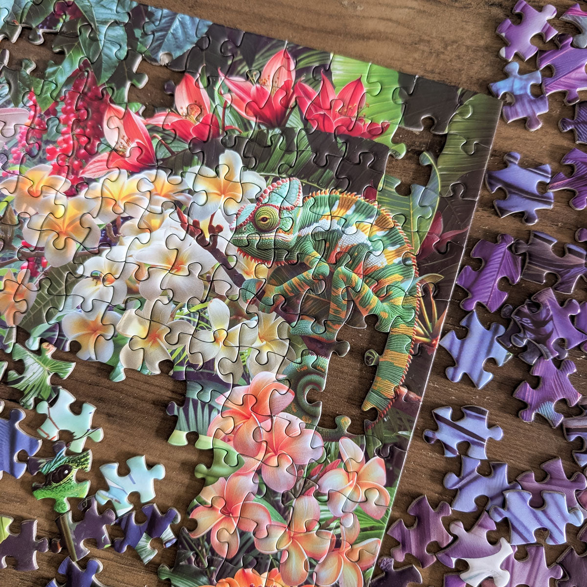 Rompecabezas Colibríes Tropicales (1000 piezas)
