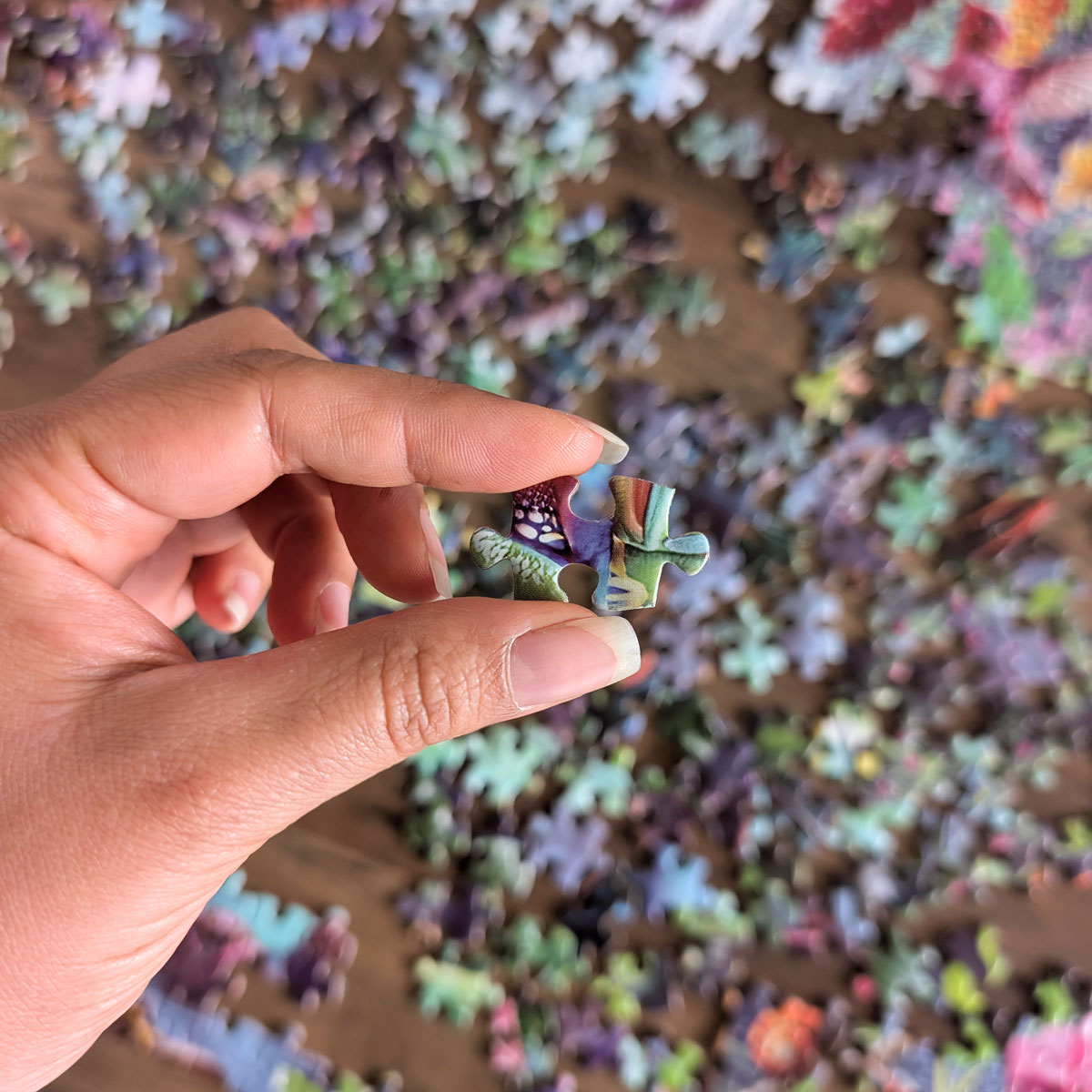 Rompecabezas Colibríes Tropicales (1000 piezas)